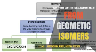 Differentiating Constitutional and Geometric Isomers: A Quick Guide