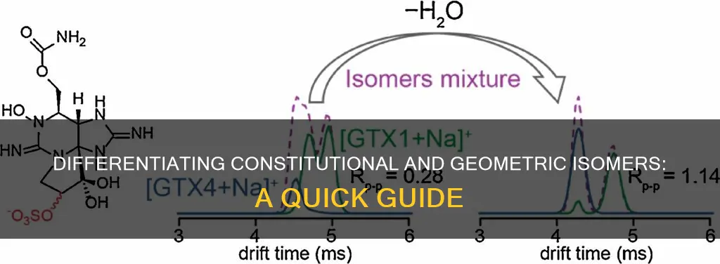 how to tell constitutional isomers apart from geometic isomers