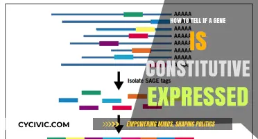 Finding Constitutively Expressed Genes: A Guide