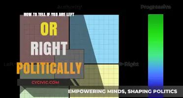 Discover Your Political Leanings: Left vs. Right Spectrum Guide