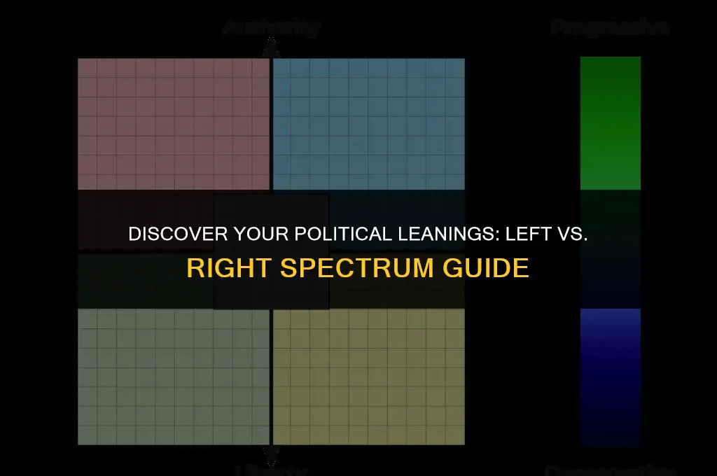 how to tell if you are left or right politically