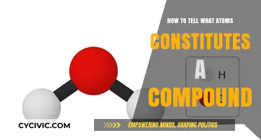 What Atoms Make Up a Compound?