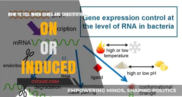 Gene Expression: On or Induced?