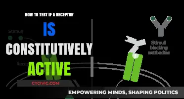 Testing Receptor Constitutive Activity: Strategies and Techniques