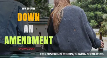 Declining Amendments: Strategies for Professional Refusals