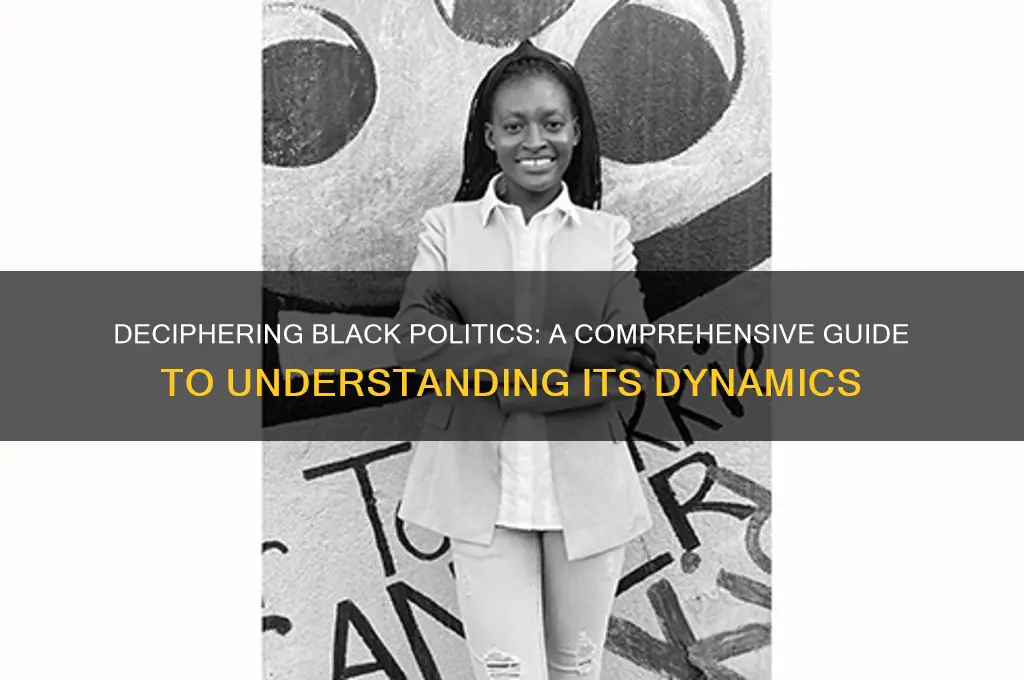 how to understand black politics