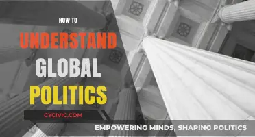 Decoding Global Politics: A Beginner's Guide to International Affairs