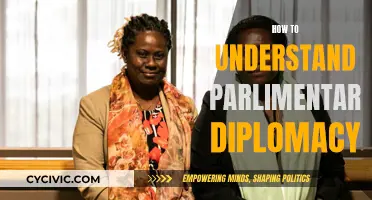 Understanding Parliamentary Diplomacy: A Beginner's Guide