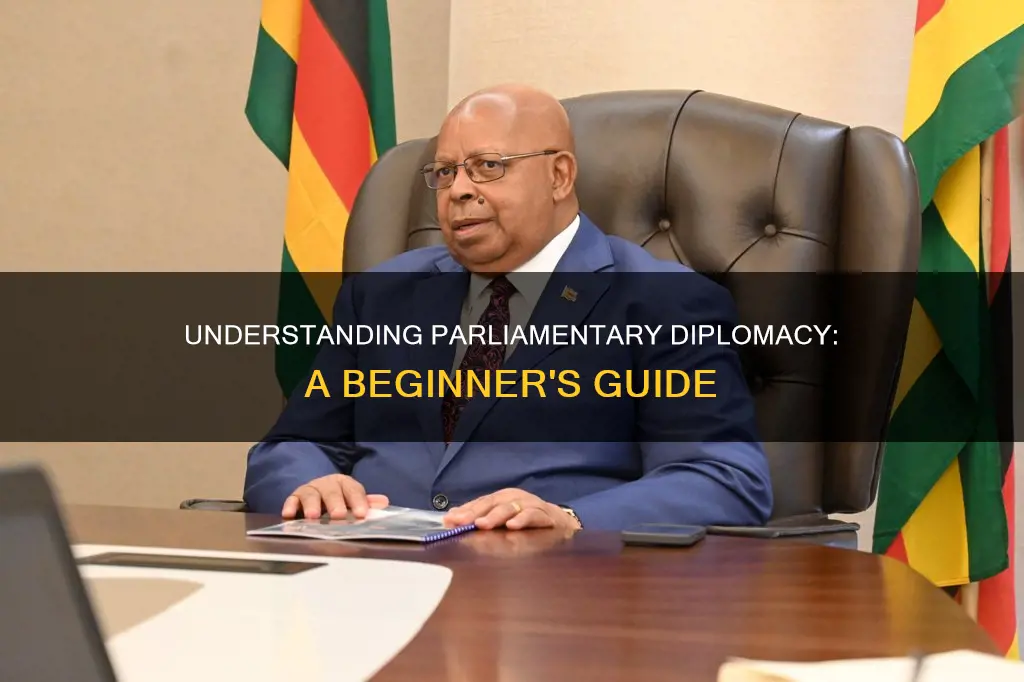 how to understand parlimentary diplomacy