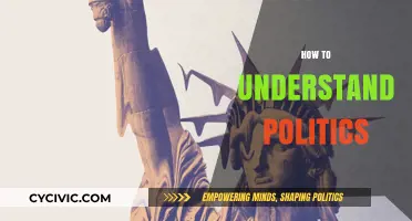 Decoding Democracy: A Beginner's Guide to Understanding Politics