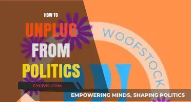 Reclaim Your Peace: A Guide to Unplugging from Politics