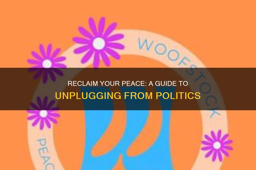 how to unplug from politics