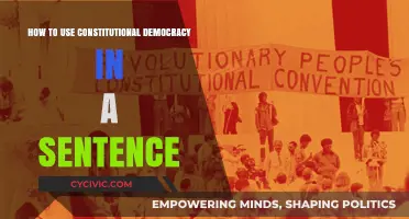 Constitutional Democracy: A Practical Guide