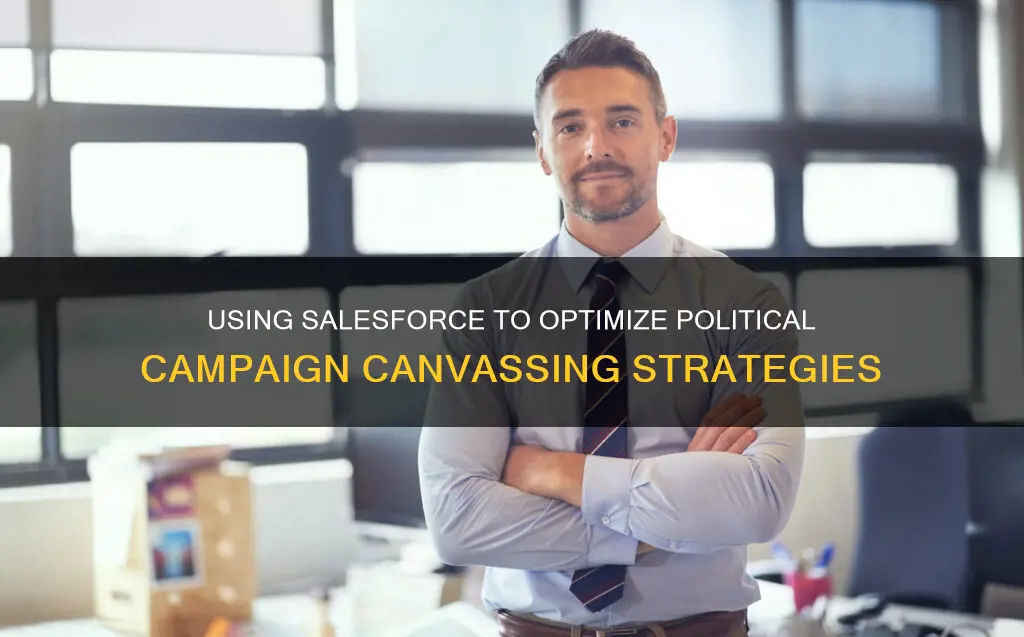 how to use salesforce for political campaign canvassing