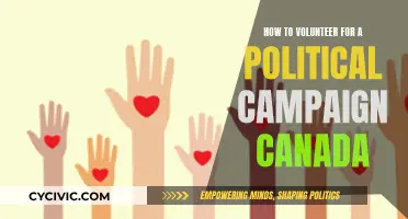 Volunteering for Political Campaigns: A Guide for Canadians
