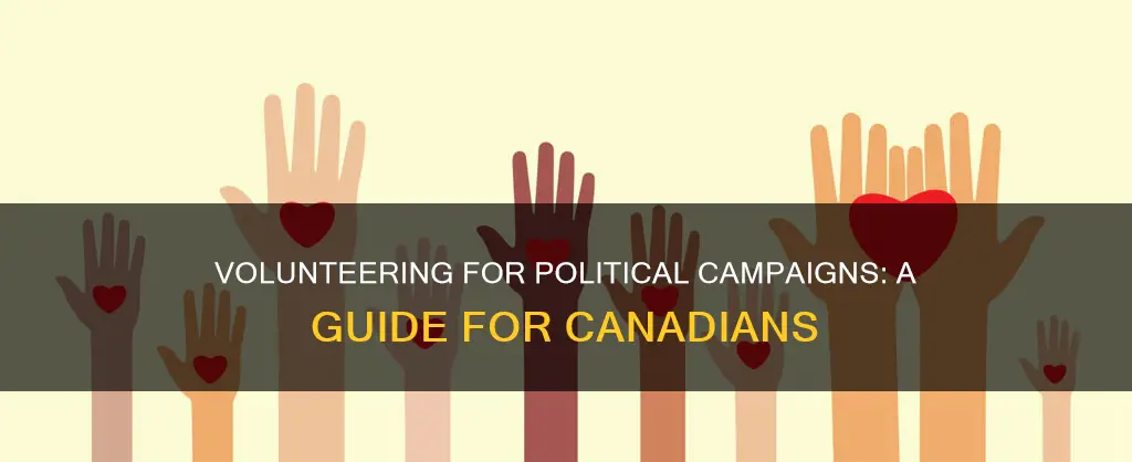 how to volunteer for a political campaign canada