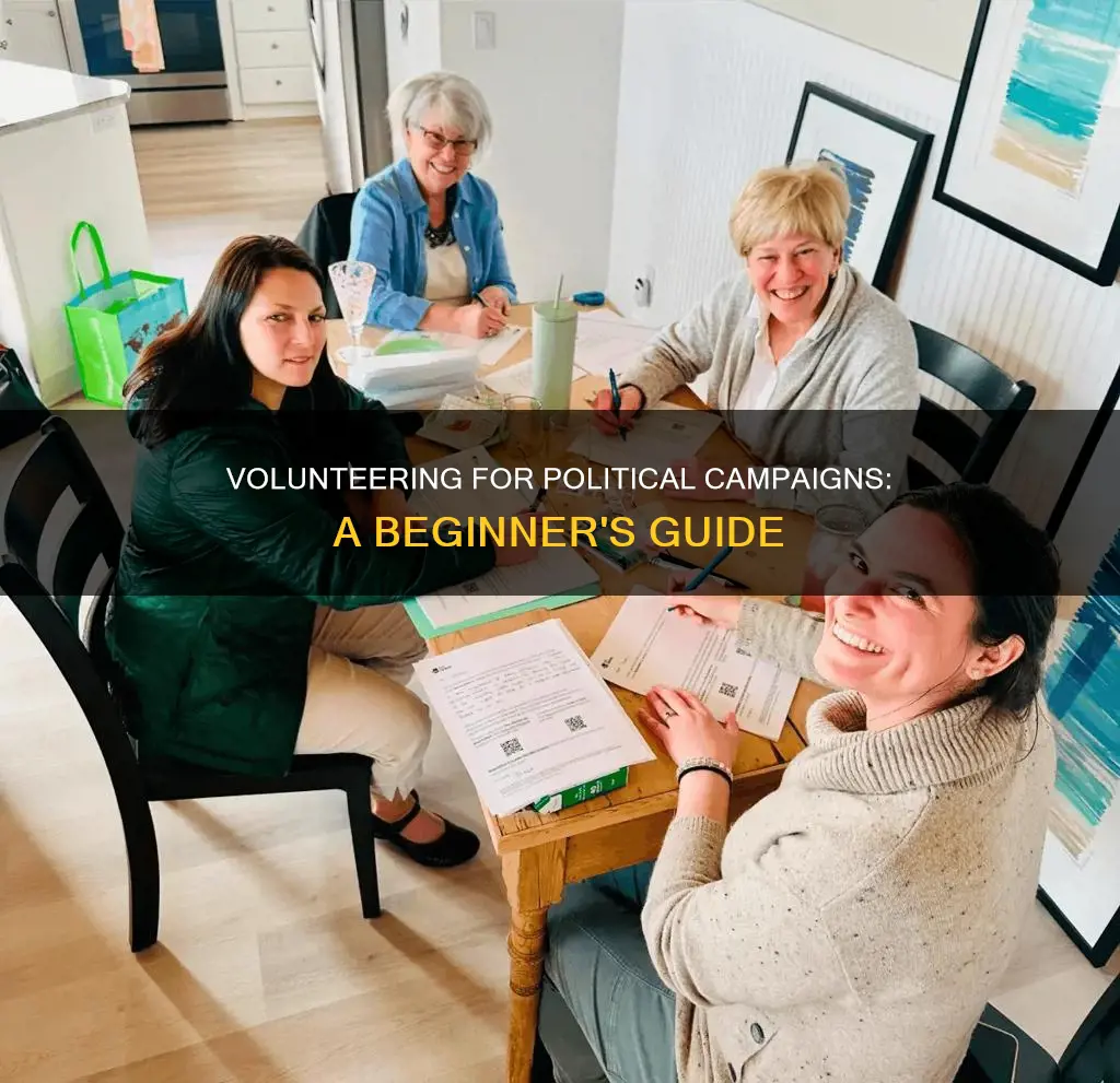 how to volunteer for a political campaign