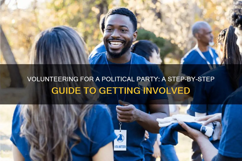 how to volunteer for a political party