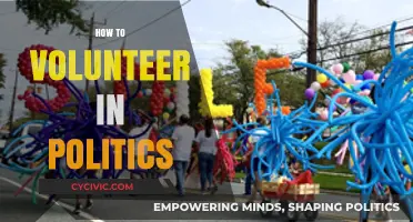 Engage and Impact: A Guide to Volunteering in Politics