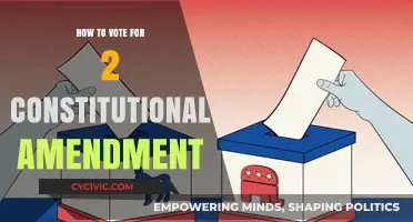 Voting for Constitutional Amendments: Your Easy Guide
