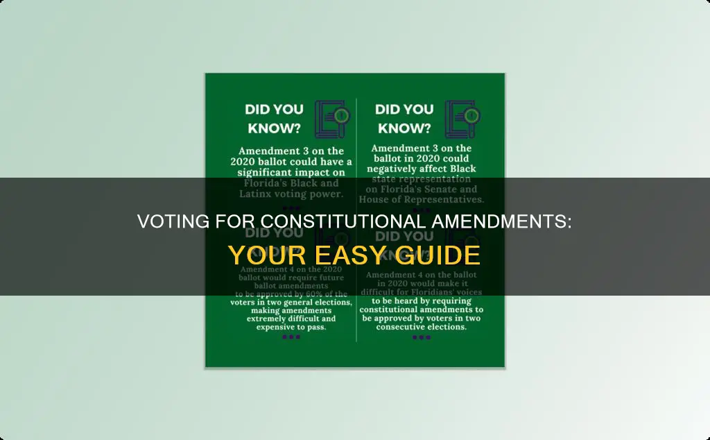 how to vote for 2 constitutional amendment