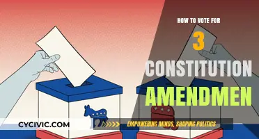 Voting for Amendments: Your Guide to Constitutional Changes