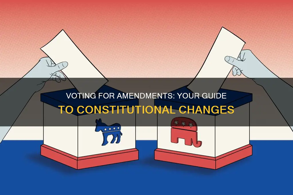 how to vote for 3 constitutional amendment