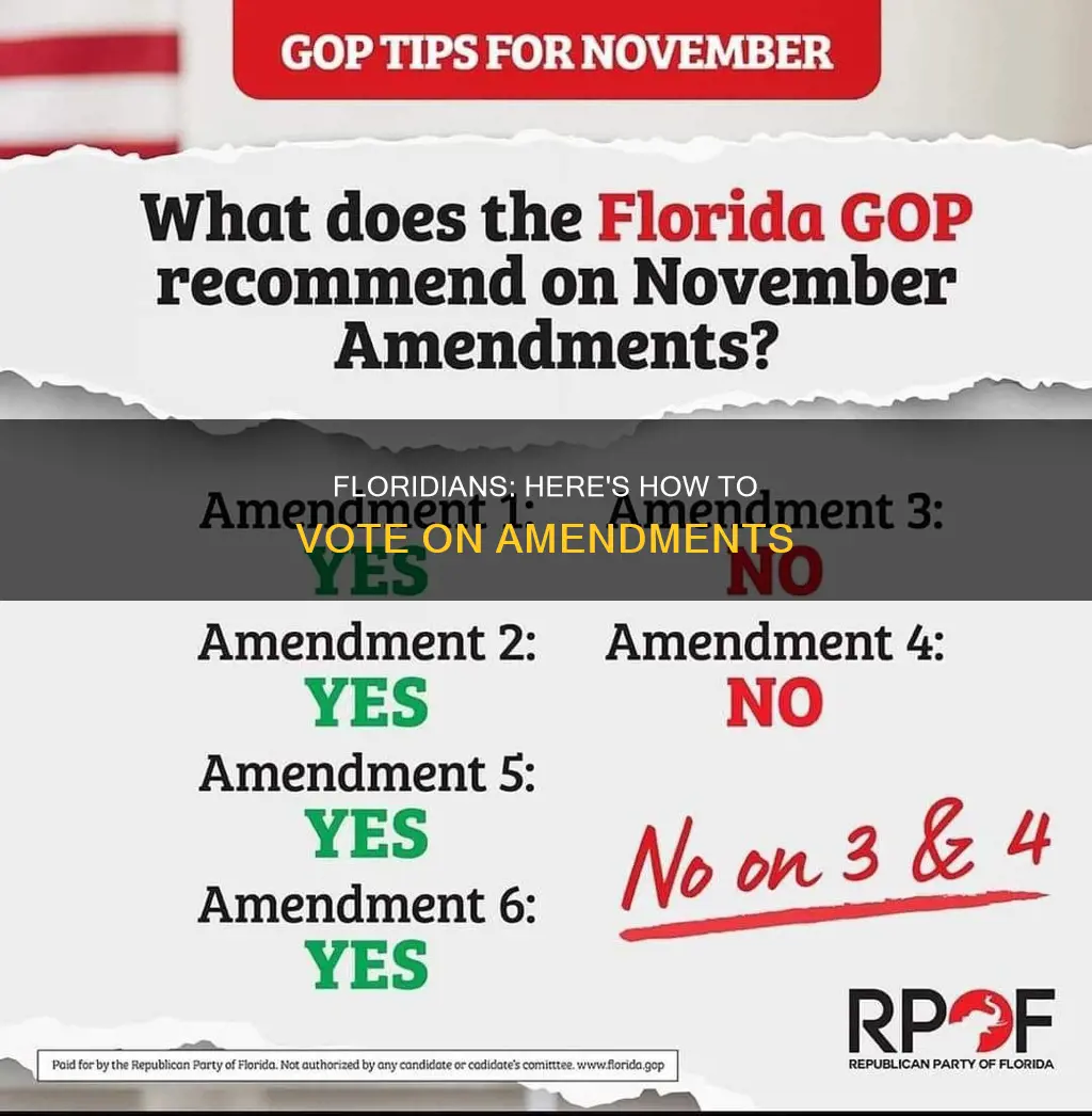 how to vote for constitutional amendments in florida