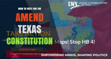 Texans: Your Vote to Amend the State Constitution