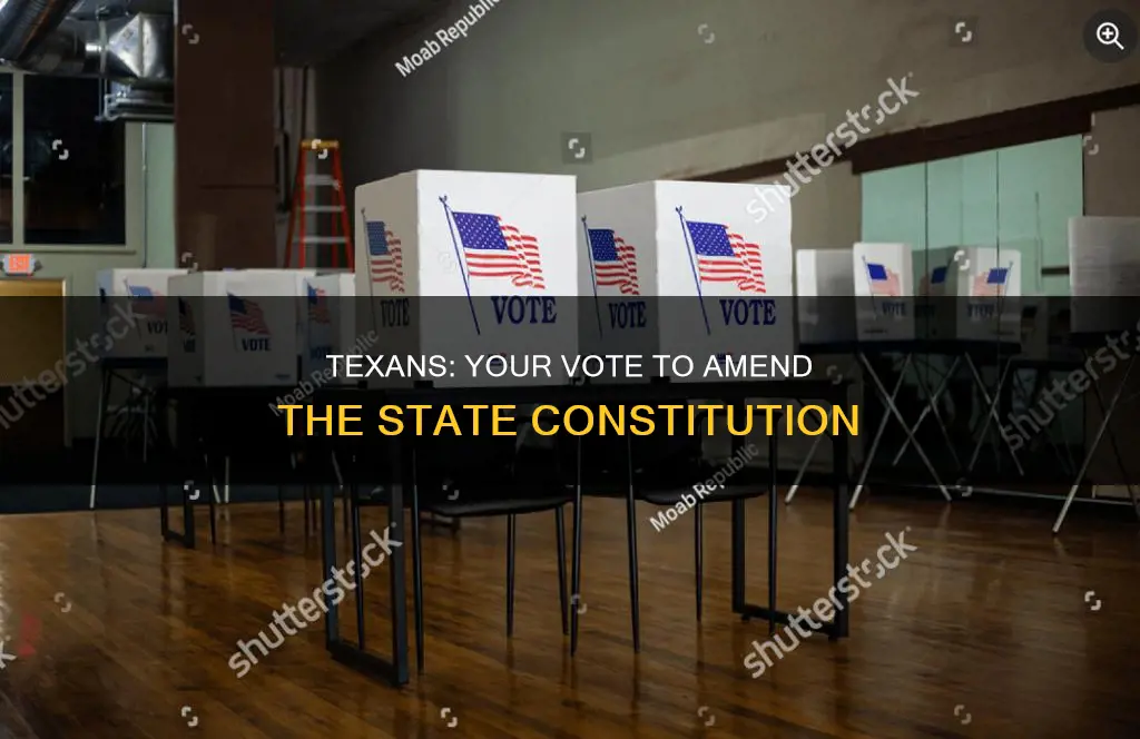how to vote for the amend texas constitution