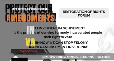 Voting on Virginia's Constitutional Amendments: A Guide