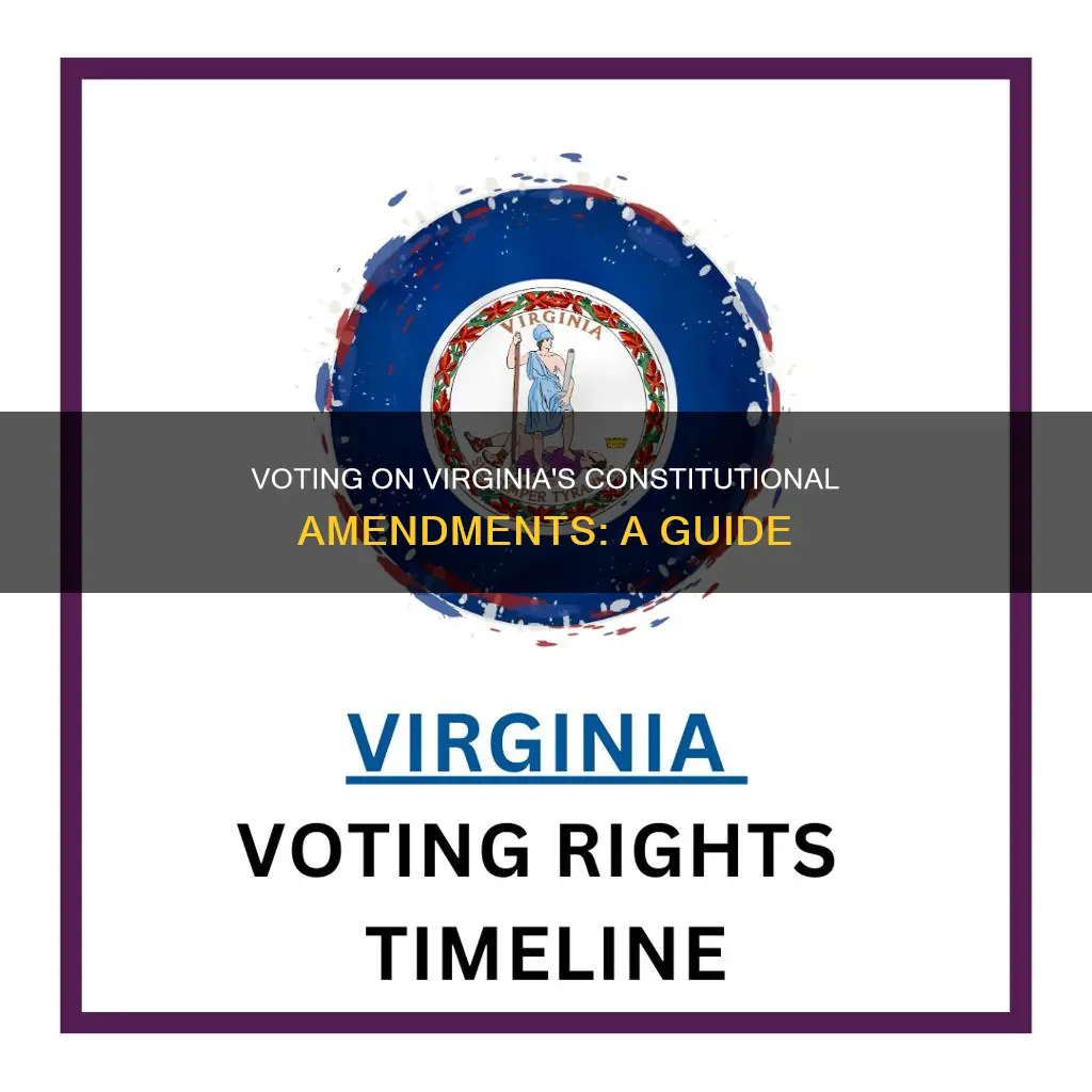 how to vote on constitutional amendments in va