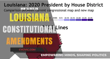 Louisiana Constitutional Amendments: Your Vote Counts