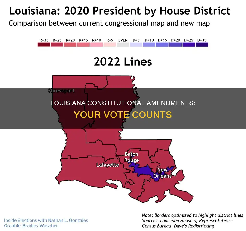 how to vote on louisiana constitutional amendments
