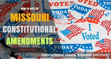 Missouri Amendments: Your Vote and the State Constitution