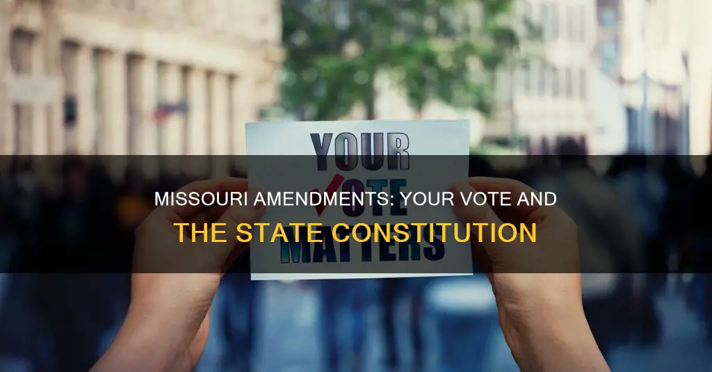how to vote on missouri constitutional amendments