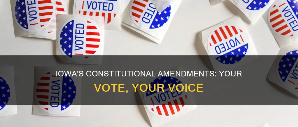 how to vote on the constitutional amendments for iowa