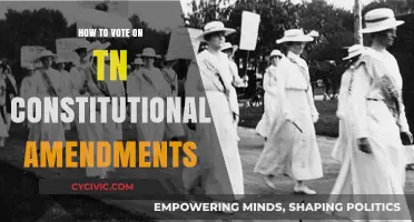 Tennessee Constitutional Amendments: Your Vote, Your Voice