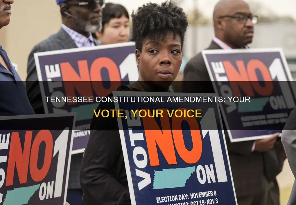 how to vote on tn constitutional amendments