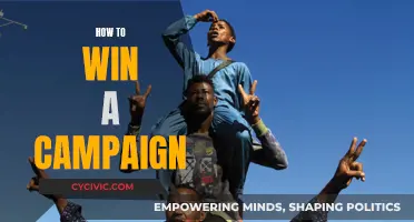 Winning Campaigns: Strategies for Success