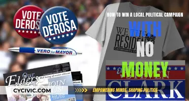 Win Local Elections: Strategies for Low-Budget Campaigns
