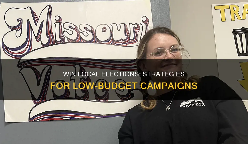how to win a local political campaign with no money
