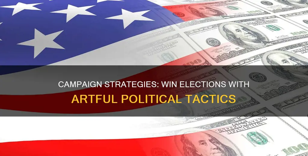 how to win an election the art of political campaigning