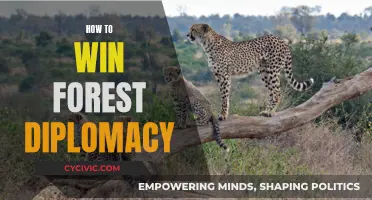 Forest Diplomacy: Strategies for Success