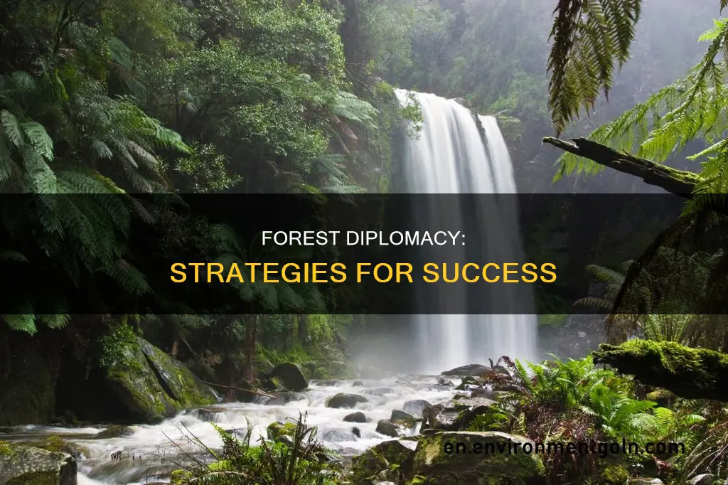 how to win forest diplomacy