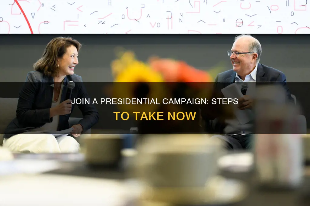 how to work for presidential campaign