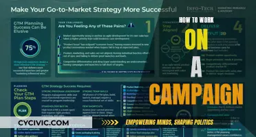 Campaign Strategies: Working Together for Success