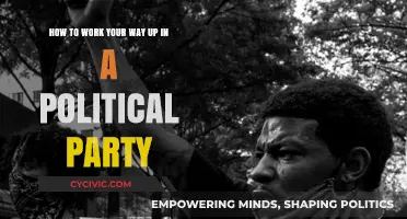 Climbing the Political Ladder: Strategies for Rising in a Party