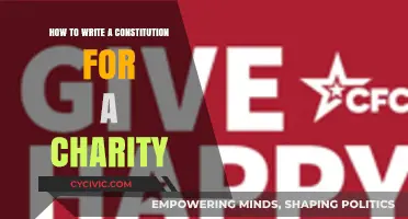 Crafting a Charity Constitution: A Step-by-Step Guide