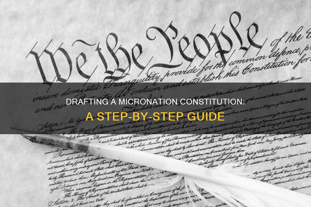 how to write a constitution for a micronation